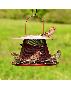 Perky-Pet® Red Cardinal Wild Bird Feeder