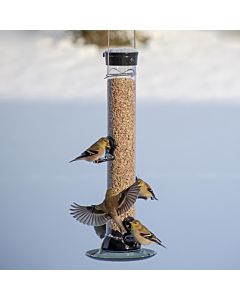 Droll Yankees® Onyx Clever Clean & Fill® Sunflower Tube Bird Feeder - 2 lb, Lifestyle