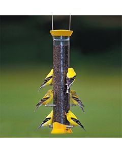 Droll Yankees® New Generation® Tube Finch Feeder - 1 lb, Lifestyle