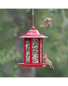 Perky-Pet® Brick Red Gazebo Feeder, lifestyle 1