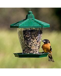 Perky-Pet® The Chalet Wild Bird Feeder