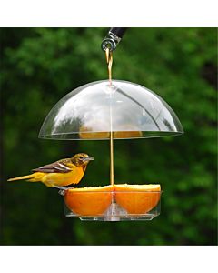 Droll Yankees® Seed Saver® Platform Bird Feeder with Adjustable Dome - 1 lb, Lifestyle