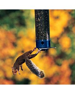 Droll Yankees® Yankee Whipper® Squirrel-Proof Bird Feeder - 5 lb, Lifestyle