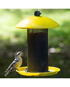 Perky-Pet Yellow Finch Feeder, 1.5 lb, Lifestyle 1