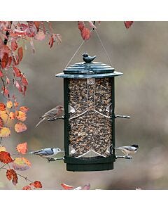 Squirrel-X LX1 Squirrel-Resistant Bird Feeder with Spring-Loaded Perches - 4.2 lb, Lifestyle