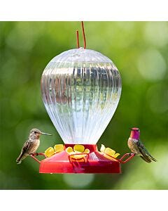 Perky-Pet® Fluted Balloon Plastic Hummingbird Feeder - 32 oz, Lifestyle