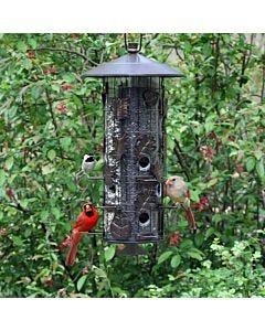 Perky-Pet® Squirrel-Be-Gone III Wild Bird Feeder