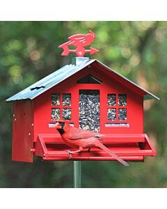 Perky-Pet® Squirrel-Be-Gone® II Country Style Wild Bird Feeder