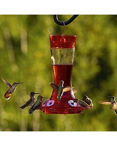 More Birds® Bird Health Garnet Glass Hummingbird Feeder with Ant Moat - 20 oz