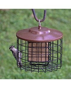Squirrel-X Double Suet Caged Squirrel-Resistant Bird Feeder, lifestyle