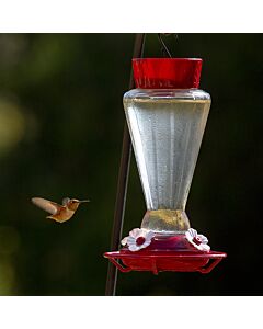 More Birds® Royal Glass Hummingbird Feeder with Ant Moat - 28 oz, LIfestyle