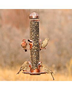 Perky-Pet® Copper 2-in-1 Wild Bird Feeder, lifestyle
