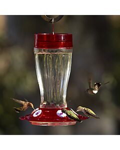 More Birds® Bird Health Big Gulp® Glass Hummingbird Feeder with Ant Moat -  40  oz, LIfestyle