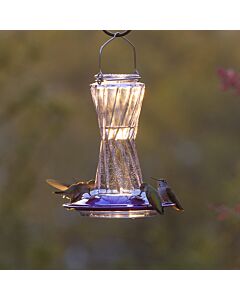 More Birds® Bohemian Glass Hummingbird Feeder with Bee Guard Nectar Ports - 20  oz - Purple, Lifestyle