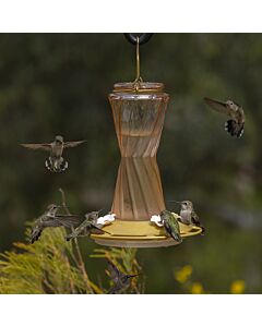 More Birds® Bohemian Glass Hummingbird Feeder with Bee Guard Nectar Ports - 20 oz - Gold, lifestyle
