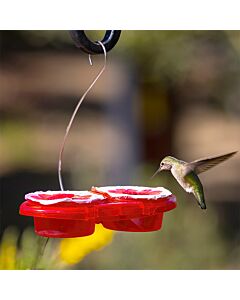 More Birds® Nectar Pods Gemini Hummingbird Feeder, lifestyle