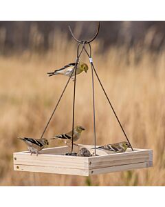Perky-Pet® Hanging Tray Bird Feeder