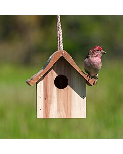 Perky-Pet® Wren Home - bird on roof 
