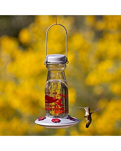 More Birds Jersey Hummingbird Feeder - hummingbird at feeder