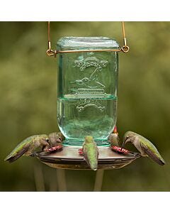 More Birds® Mason Jar Glass Hummingbird Feeder - 25 oz, Lifestyle
