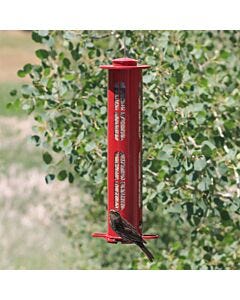 Squirrel-X X8 Squirrel-Resistant Bird Feeder with Spring-Loaded Perches - 2.5   lb, lifestyle