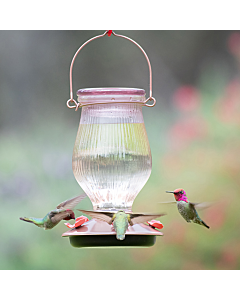Perky-Pet® Rose Gold Top-Fill Glass Hummingbird Feeder, Lifestyle