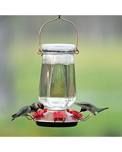 Perky-Pet® Crystal Top-Fill Glass Hummingbird Feeder, Lifestyle