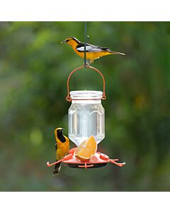 Perky-Pet® Oriole Top-Fill Feeder, lifestyle
