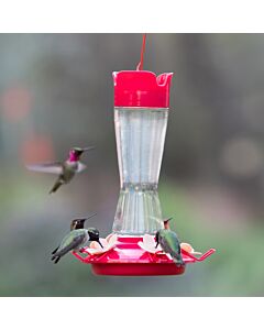 Perky-Pet® Top-Fill Pinch-Waist Glass Hummingbird Feeder, Lifestyle