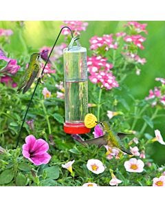 Perky-Pet® Planter Box Hummingbird Feeder, Lifestyle