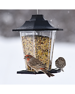 Perky-Pet® Carriage Bird Feeder - Lifestlyle 2