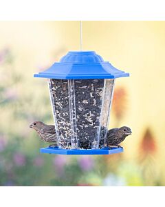 Perky-Pet® Blue Carriage Bird Feeder - Lifestyle Blue