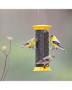 Droll Yankees® New Generation Tube Finch Feeder - birds at feeder