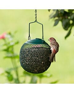 Perky-Pet® Green Seed Ball Wild Bird Feeder - Lifestyle