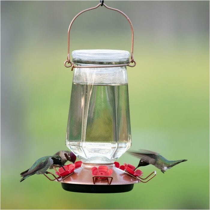 Perky Pet Crystal Top Fill Glass Hummingbird Feeder
