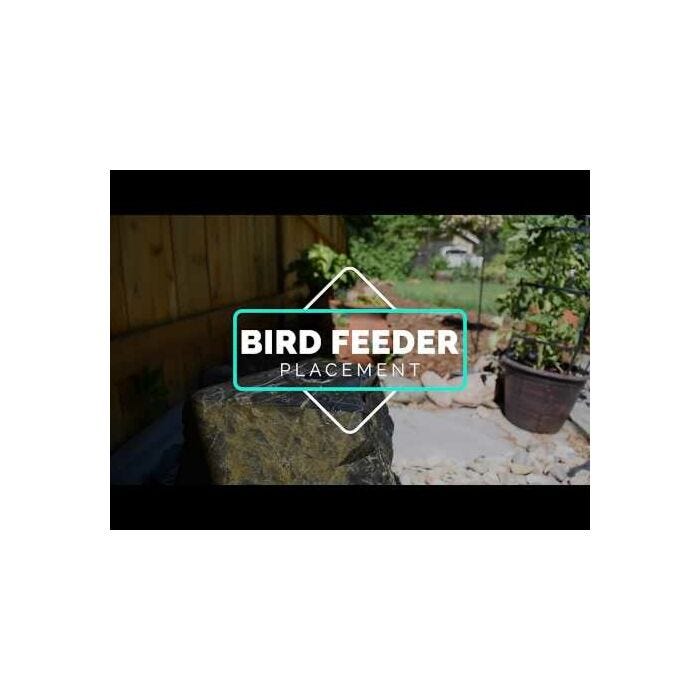 Squirrel-X X1 Squirrel-Resistant Bird Feeder | 11-SQU-X-1