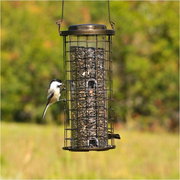 Perky-Pet® Squirrel Stumper Wild Bird Feeder