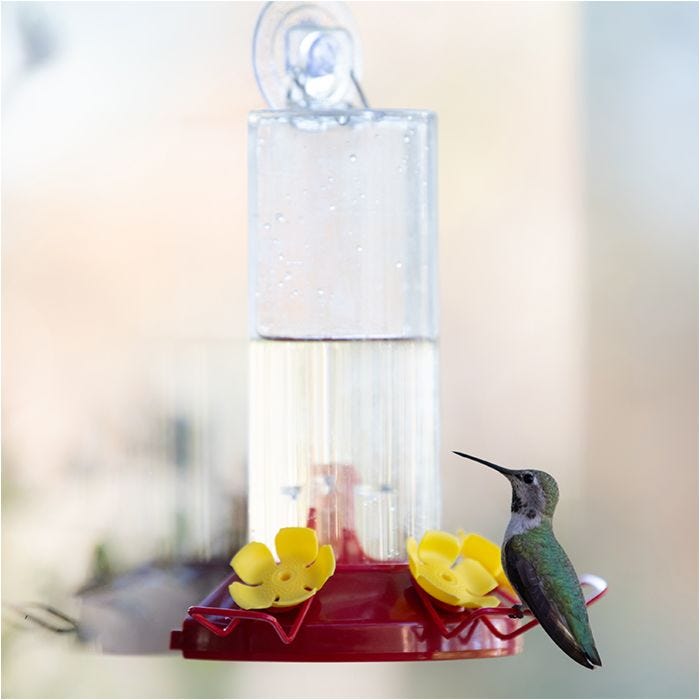 Best 14 Ideal Bluebird Feeders Analyzed And you can Ranked During the 2021