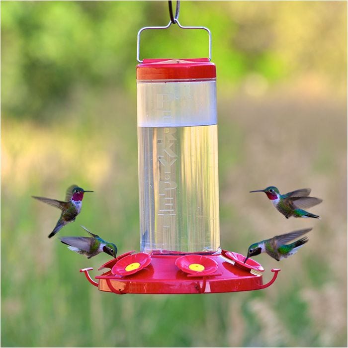 Perky Pet Grand Master Plastic Hummingbird Feeder
