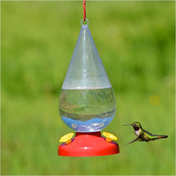 Perky-Pet® Dew Drop Plastic Hummingbird Feeder