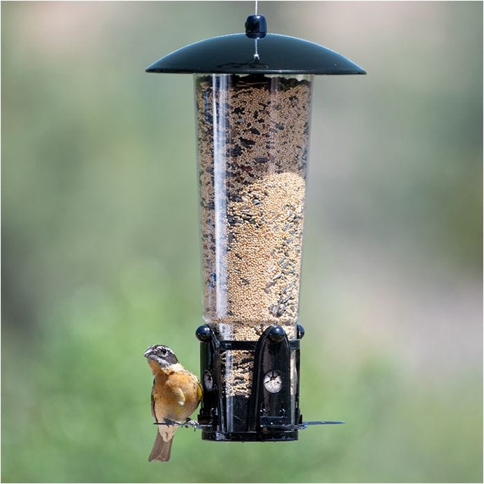 Perky-Pet® Squirrel Stumper Wild Bird Feeder