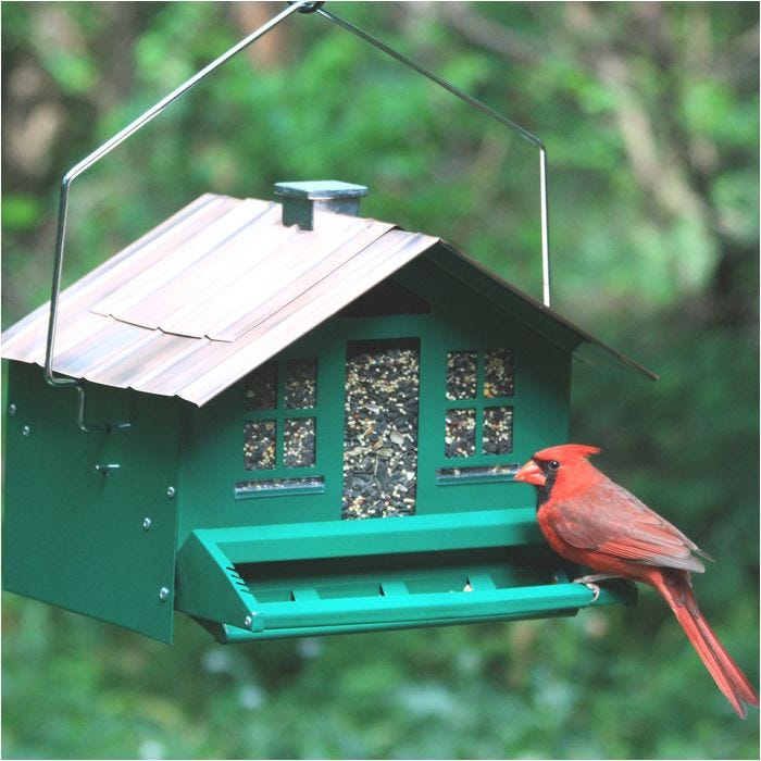 Perky-Pet® Red Cardinal Wild Bird Feeder