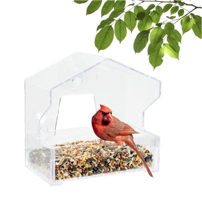 Perky-Pet® Window Bird Feeder - ½ lb Seed Capacity