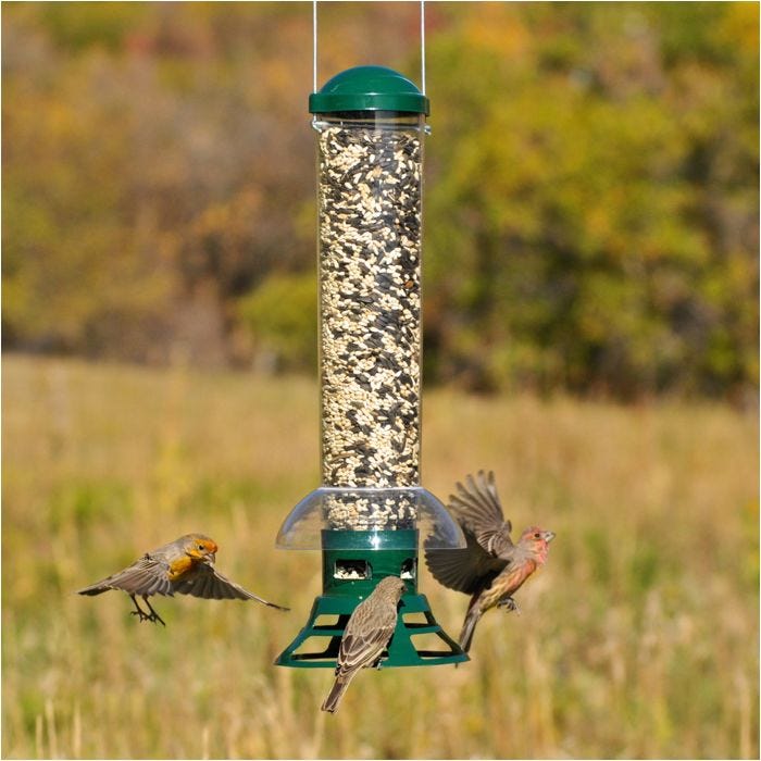 Perky-Pet® Squirrel Stumper Wild Bird Feeder