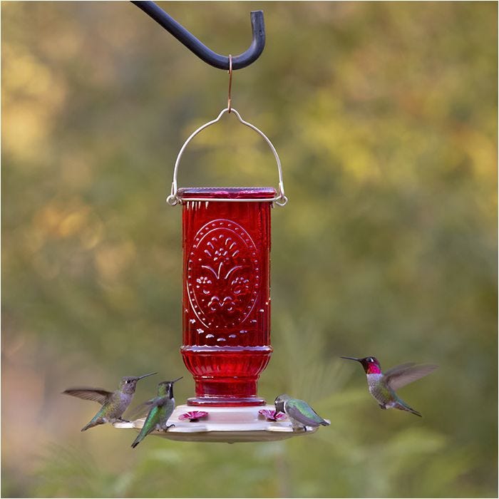 Glass shop bird feeders