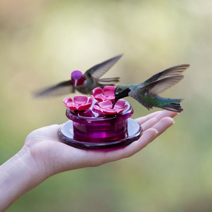 3 sizes Hand Held Hummingbird Feeders, by Amazing Bird Stuff 