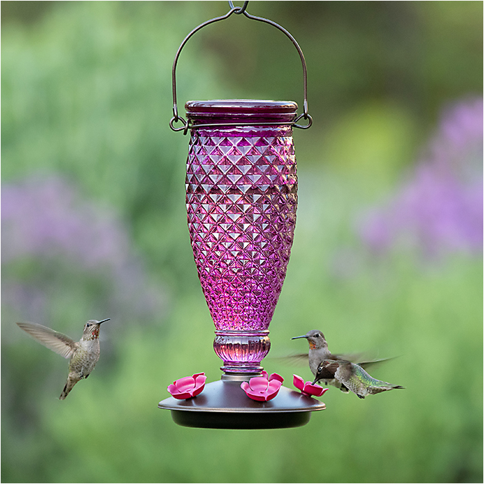 Details about   Glass Hummingbird Feeder Rose Gold 24 oz Top Fill Design by Perky-Pet 