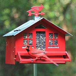 Unique Mangeoire à Cardinal - Unique Cardinal Feeder