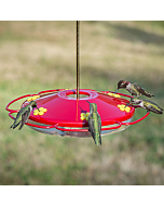 Perky-Pet® Oasis Hummingbird Feeder