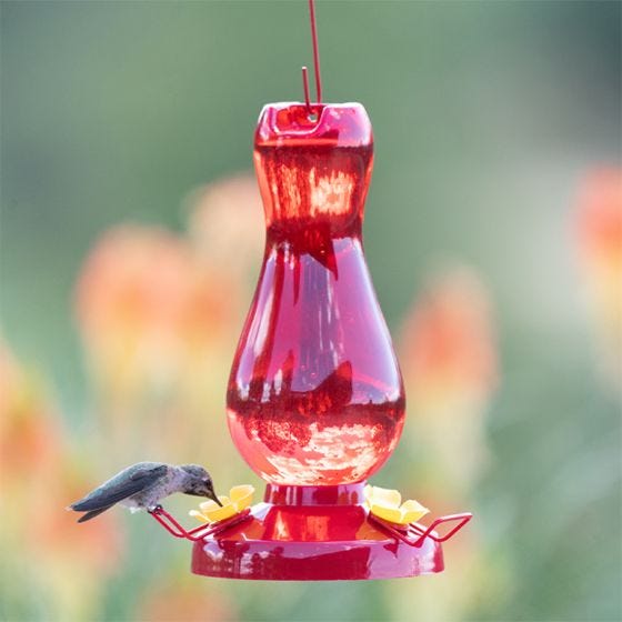 Perky-Pet® Ruby Red Plastic Hummingbird Feeder